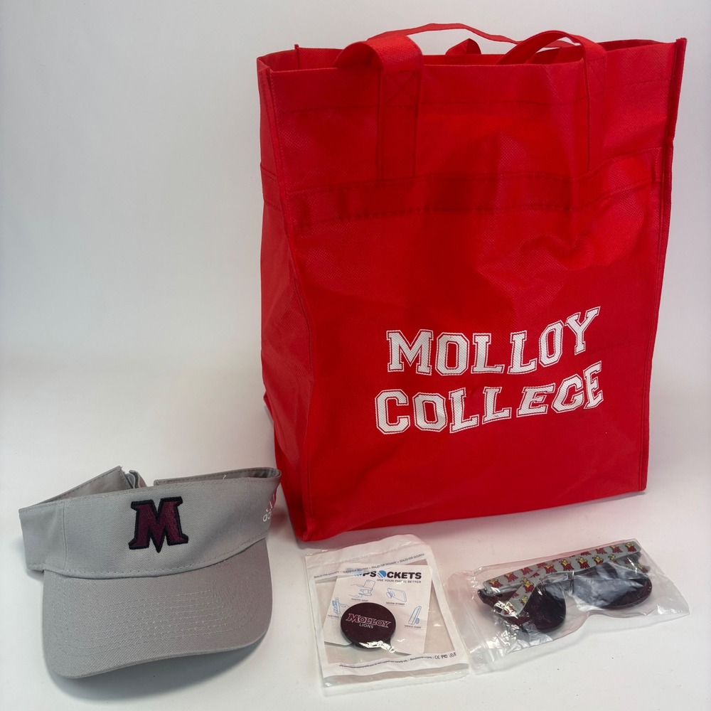 Adidas Molloy College Lions Fan Bundle OS Grey Red Visor‎ Bag Bundle New Parent